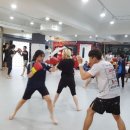 모아이짐 이미지