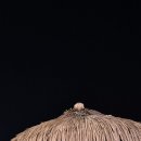 [27] 인천-을왕리해수욕장/25.11.15(토) 이미지