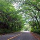 대청호수로 이미지