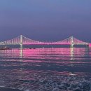 세원포레스트 내 | 니모를 만나기 위한 머나먼 여정(해수어항은 어렵다ㅠ) 1탄 준비물