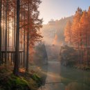 방동역가든 | [한국관광 100선] 하늘길 걷는 메타세쿼이아 숲! 대전 장태산 자연휴양림 가을 절경