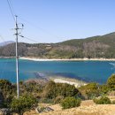 포구나무민박 이미지