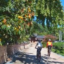 삼계강사계안 이미지