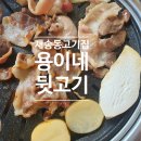 용이네뒷고기재송