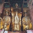 선문염송설화 이미지