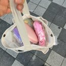 (주)피닉스 | 수영 초급 개인 강습 셋째 주 후기 피닉스 메쉬 수영가방 랠리 웨일 수모