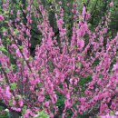 옥주농장 이미지