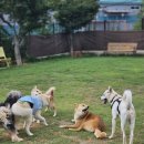 멍스 컨테이너 이미지