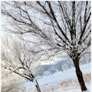 강천산 나비잠 이미지