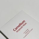 제주리움 | 데일리마스크팩 추천 l 카멜리움 앰플 수분 미백 마스크팩 사용후기