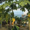 가온농장 이미지