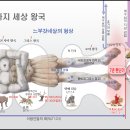 다니엘서 강해 5~6편, (단 2:14~2:43) : (정동수 목사, 사랑침례교회, 킹제임스 흠정역 성경, Daniel 이미지