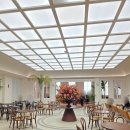 솔담브레드 | 용인 구성동 팔라시오 카페앤베이커리 솔스퀘어 감성 가득한 조용한 카페 내돈내산 후기