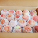 섬뜰농원 이미지