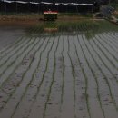 참새골농장 이미지