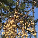 홀통유원지(3) 이미지