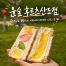 피크닉 후르츠 | 군자역 카페 윤숲 후르츠산도점 : 서울 후르츠산도 맛집 추천 포장 후 피크닉 후기