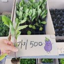 진주팜농약 이미지