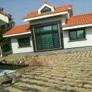 표선리-33 이미지