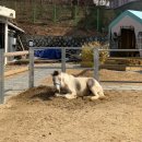 건축학개론 소극장 | [이천맛집/넓은 카페/ 바베큐 가능] 다양한 매력이 있는 완전 추천 "건축학개론 cafe"