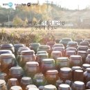 잃어버린것들을찾아서 이미지