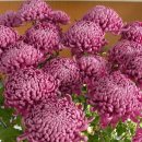 야로우체국 이미지