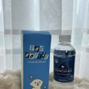 솔말티즈 | 여름 산책 필수템 벅벅펫 강아지 물통 후기