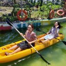 비체올린 이미지