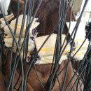 미헤어카페 이미지