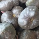 열매농장 이미지