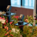 비타메인 이미지