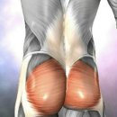 포인트팜 이미지