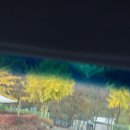 천동관광지 이미지