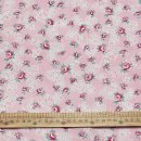 리베르떼 이미지