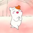 충북대학교사범대학부설중학교 이미지