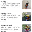 피아카페