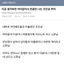 7월 일상.. 잉간 빤쮸토끼...