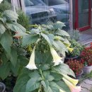 남동족구장 이미지