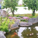 농업기술센터 흥해청사 이미지