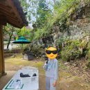 소리나팔꽃 | [안동] 아이와 함께 가볼만한 곳, 만휴정(feat. 미스터션샤인 촬영지)