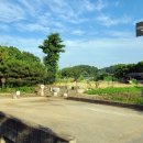 기건선생묘 및 신도비 이미지