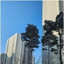 리얼공인중개사사무소 이미지