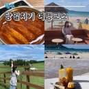 지연목장 | 제주 여행 당일치기 서남쪽 코스 후기