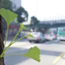 보리약국 이미지