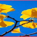 명인목장 이미지