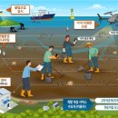 신안갯벌낙지 이미지