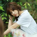 Reminiscence 이미지