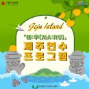 샘축산 | 경상북도사회복지사협회 주관 [마루:쉼터] 사업 4회차 참여 후기 - 1, 2일차