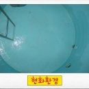 현화환경 이미지