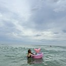 구산비치모텔 | [양양 애견동반 여행] 지경 해수욕장 &amp; 글램독 펜션 솔직후기 🐾